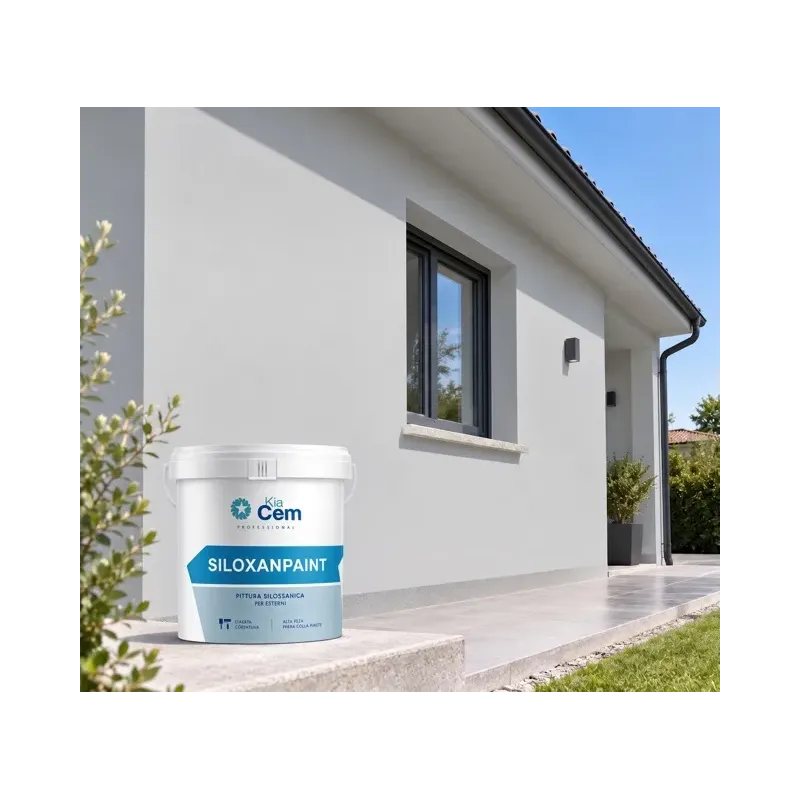 SILOXANPAINT