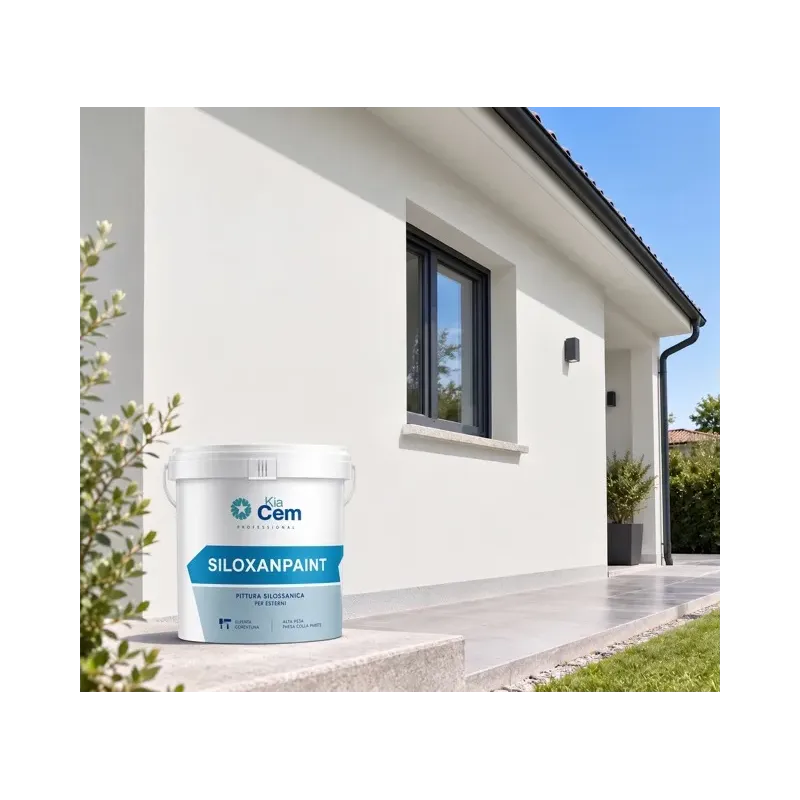SILOXANPAINT