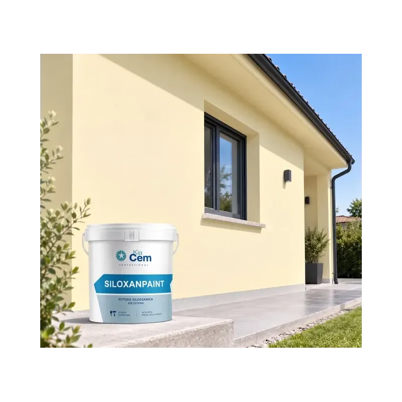 SILOXANPAINT