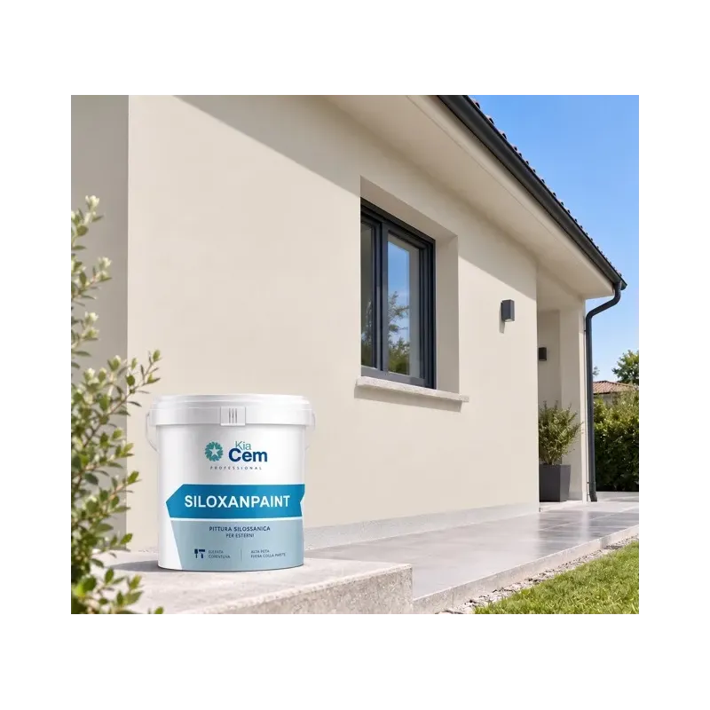 SILOXANPAINT